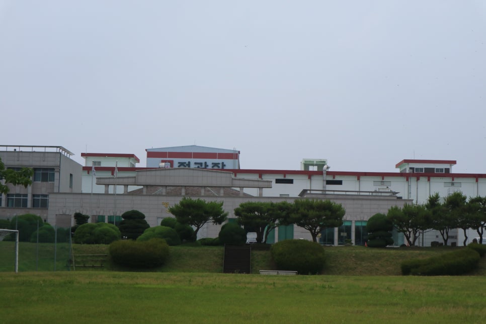 고려인삼홍삼 이미지
