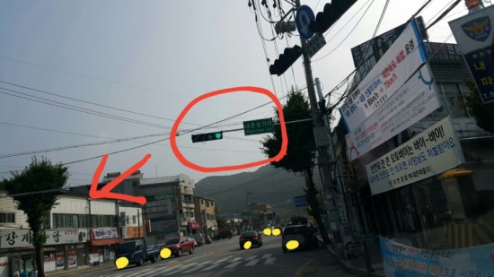 고향송어닭집 이미지