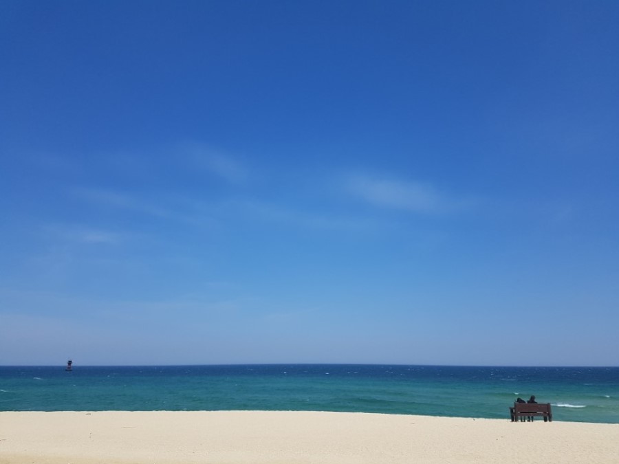 동해바다 이미지