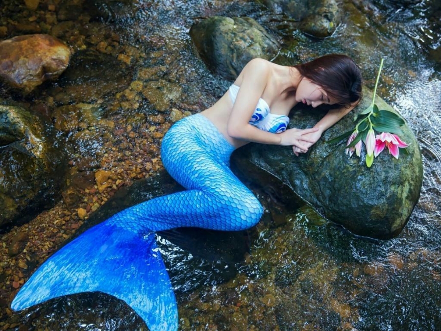 문어양식장 이미지