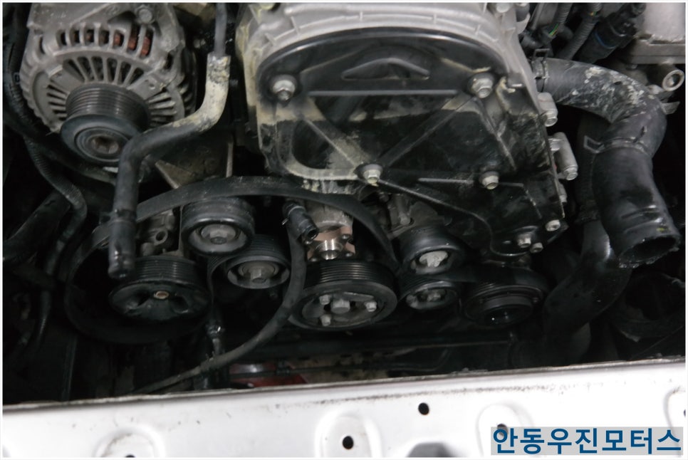 안동라지에터 이미지