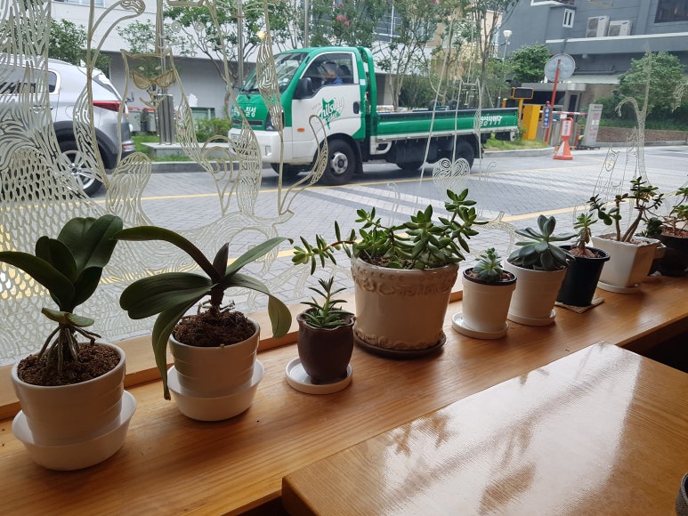 로코카페 이미지