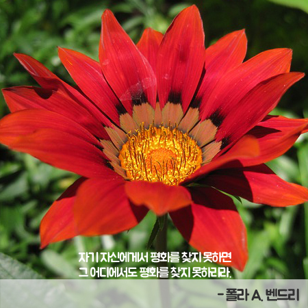 벤드리 이미지