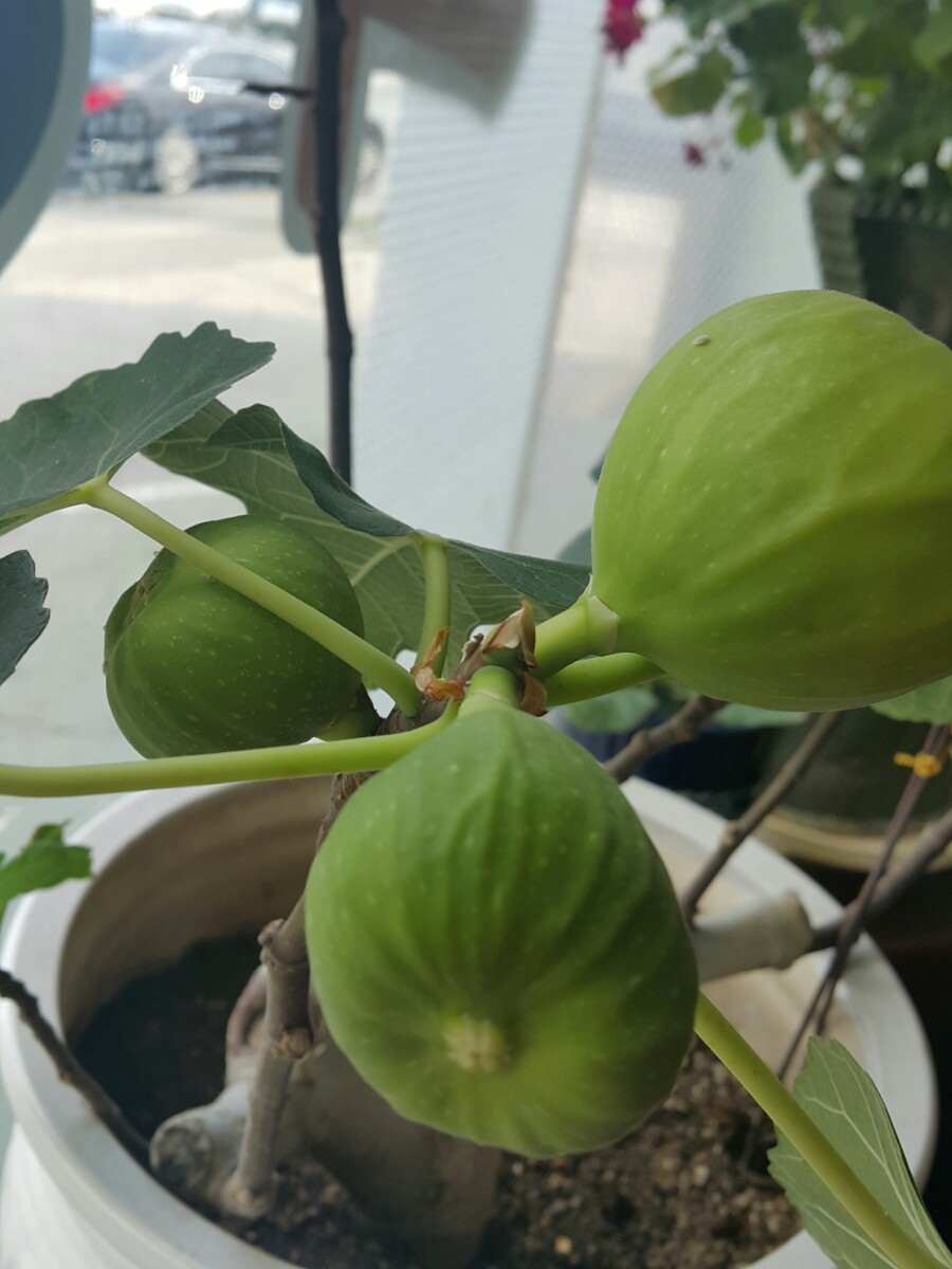 청수면옥 이미지