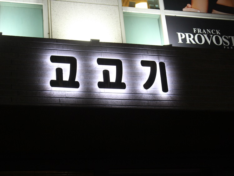 고고기 이미지