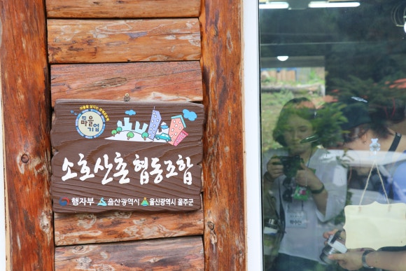 소호야생차 이미지