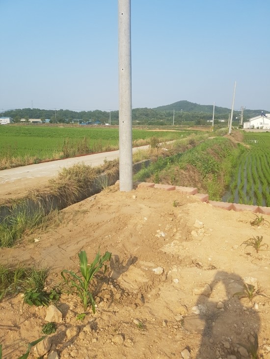 선영전기 이미지
