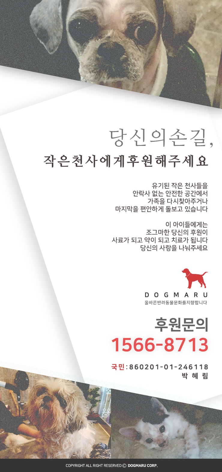 토이마루 이미지