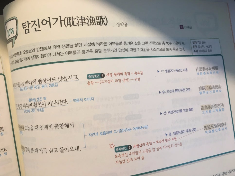 탐진어가 이미지