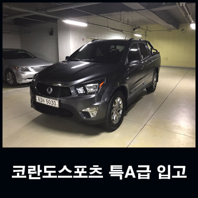 차윤스포츠 이미지