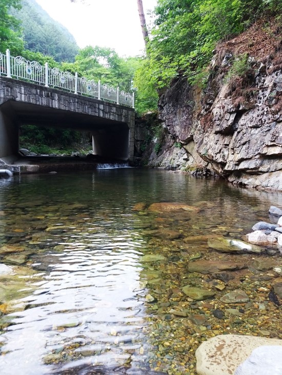 산아리 이미지