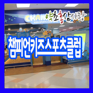 챔피언키즈스포츠클럽 이미지