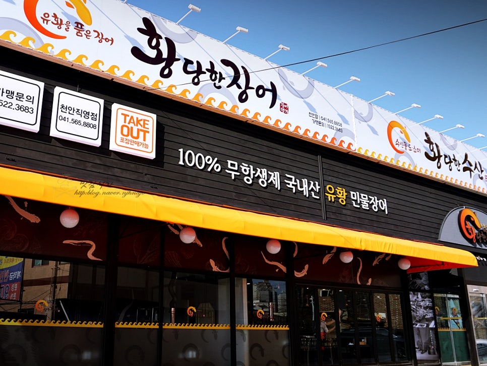 황당한장어 이미지