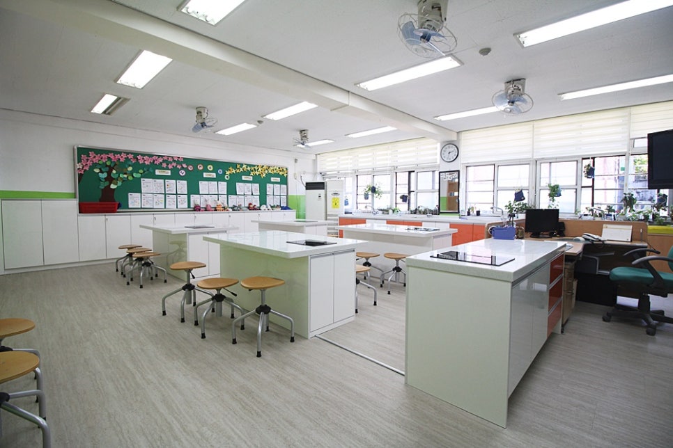 서울양동초등학교 이미지