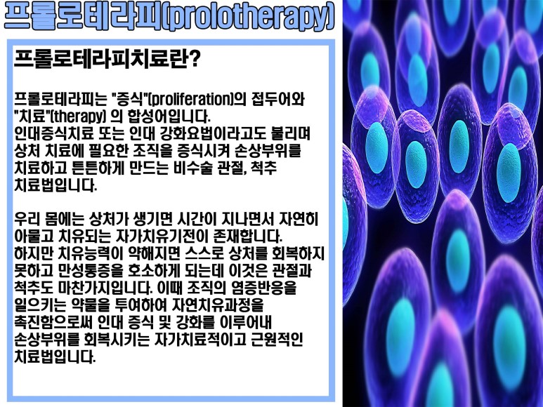 바로세움 이미지