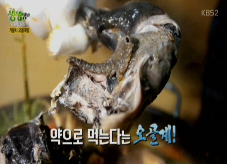 동강민물매운탕 이미지