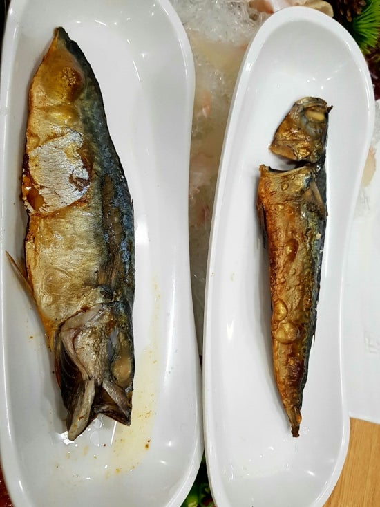 바락세꼬시 이미지
