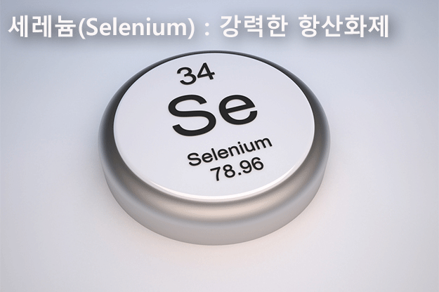 서울하나로의원 이미지
