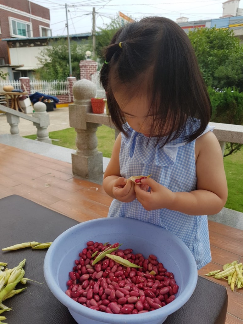 콩쟁이 이미지