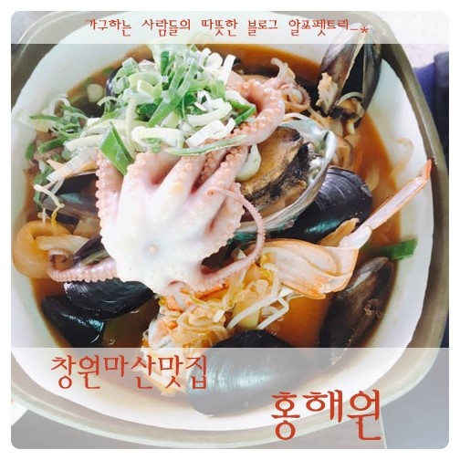 홍해원 이미지