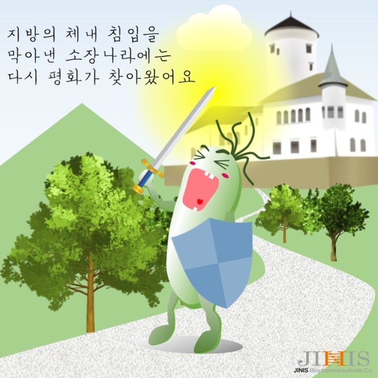 디테1 이미지