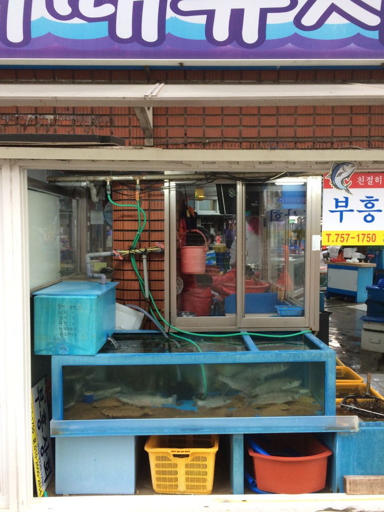 부흥상회 이미지