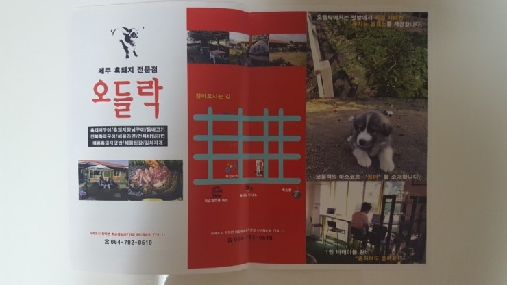 오들락 이미지