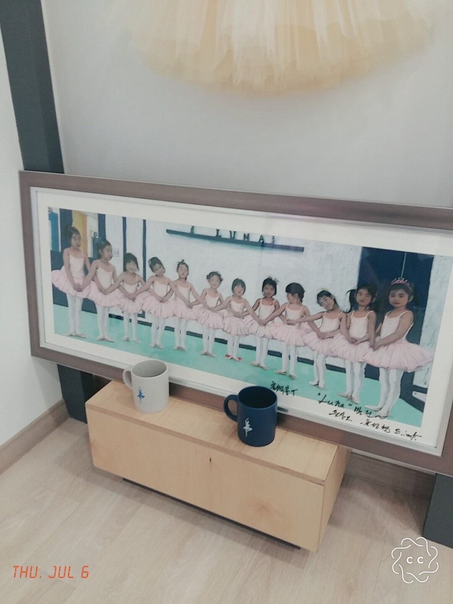 루나무용학원 이미지