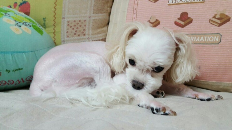 줄리엠 이미지