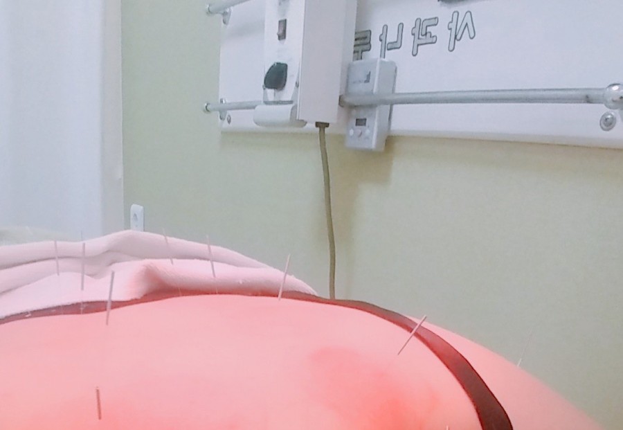 사과나무한의원 이미지