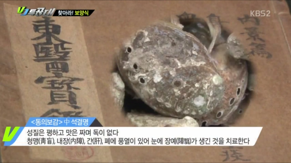 한국전복연구소 이미지
