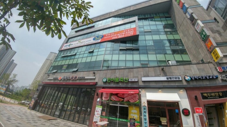 아이비센타 이미지