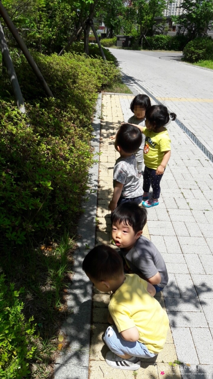 별님어린이집 이미지