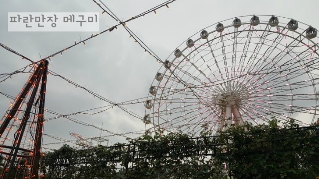 보스짬뽕 이미지