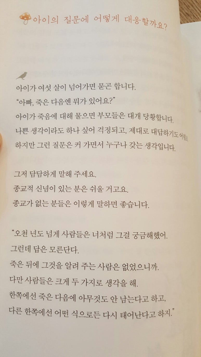 제주아이 이미지