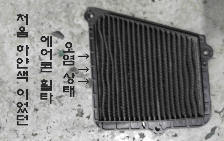 대동카클리닉 이미지