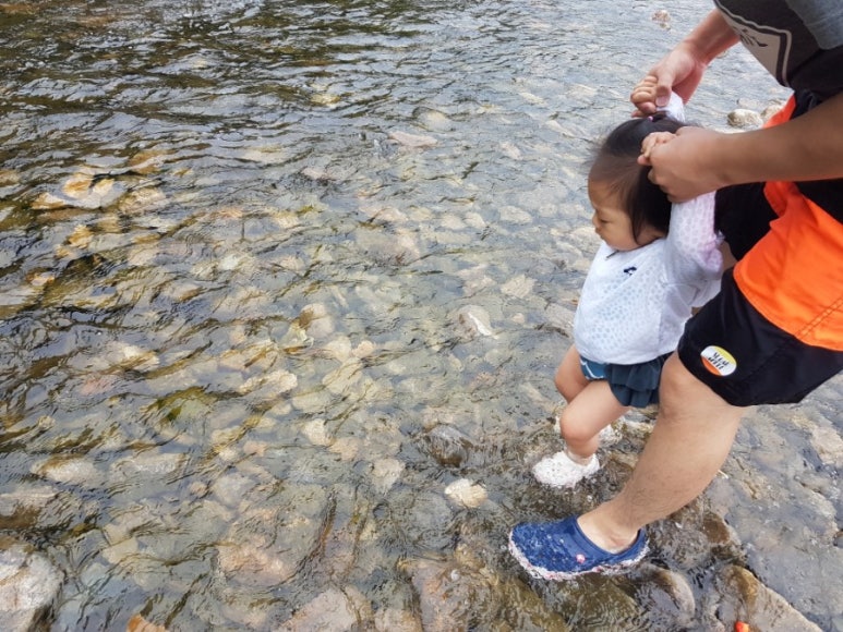 비발디여행사 이미지
