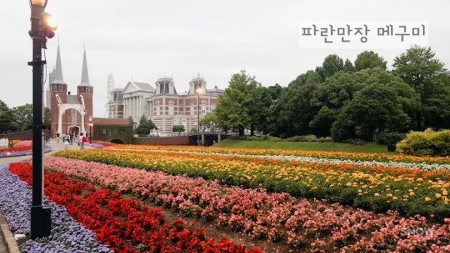 보스짬뽕 이미지