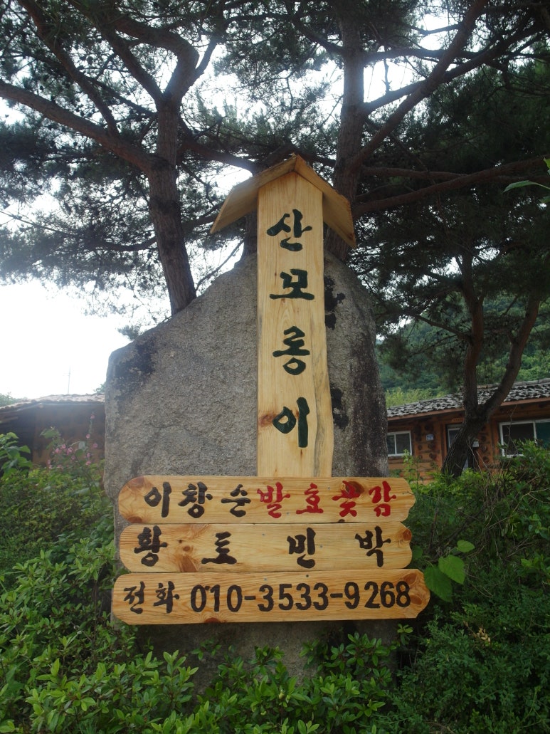 특이네민박 이미지