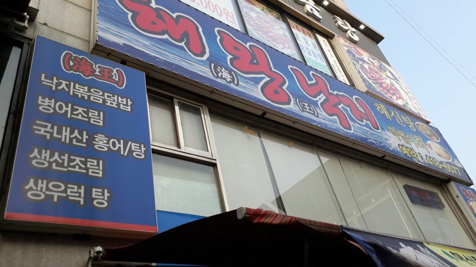 해왕낙지 이미지