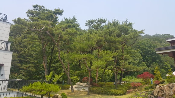 가야조경 이미지