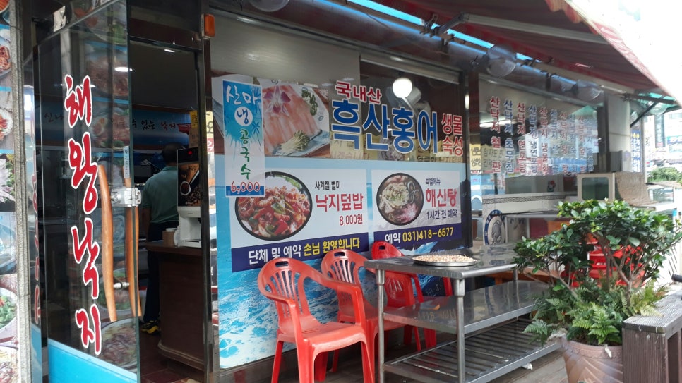 해왕낙지 이미지