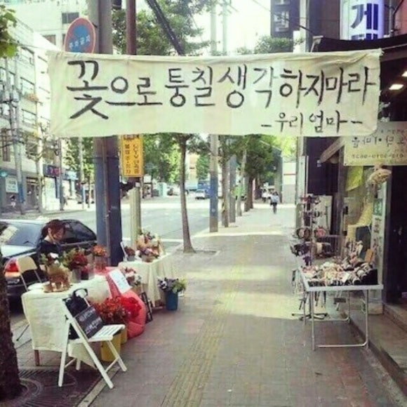 사계절화원 이미지