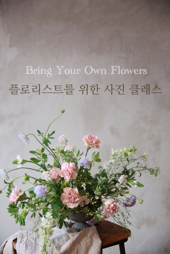모모사진관 이미지
