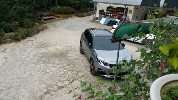 와우여행사주 이미지