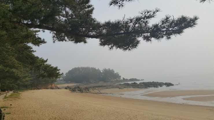 태안렌터카 이미지