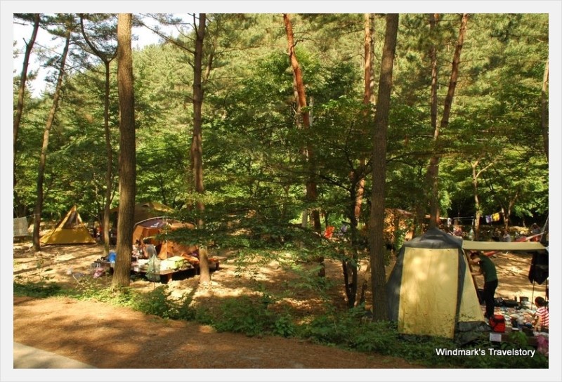 국립희리산해송자연휴양림 이미지