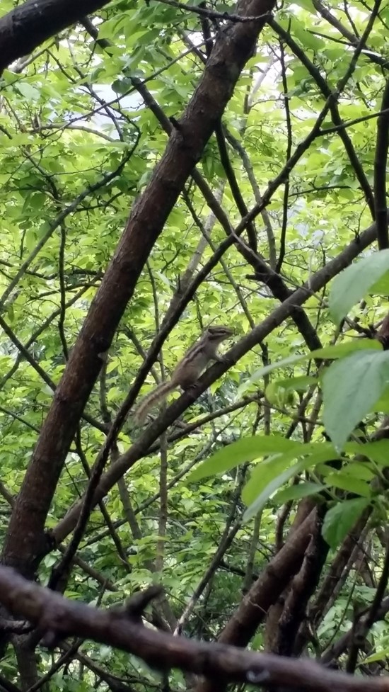 화산농원 이미지