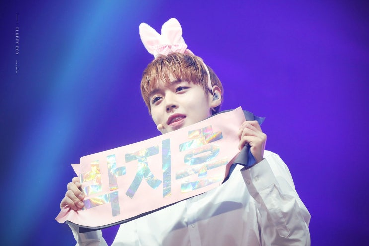 플러피(Fluffy) 이미지
