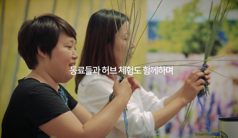 더 건강한 컴퍼니 이미지